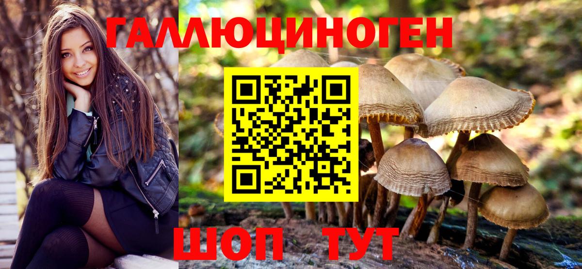 Воткинск  Галлюциногенные грибы Psilocybe  Вход с VPN 